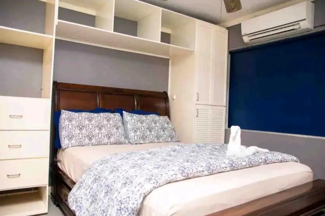 Carter'S Nest Apartment Kingston